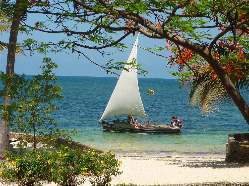 Top 7 Services You Can Find in Malindi Right Now - Local Services in Malindi